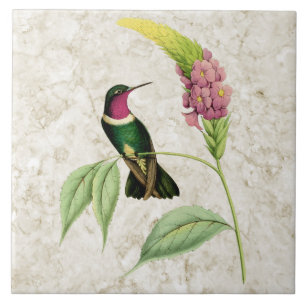 Amethyst Throated Hummingbird Ceramic Tile