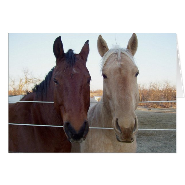 Ami - ami -- Masquez à l'intérieur (Devant horizontal)