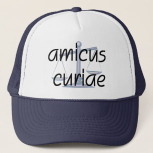 Amicus Curiae Judge Hat