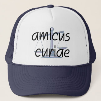 Amicus Curiae Judge Hat