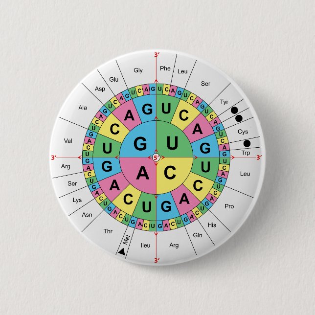 Amino Acid Base Sequence Table Diagram 2 Inch Round Button (Front)