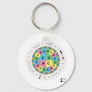 Amino Acid Base Sequence Table Diagram Keychain