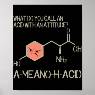 Amino Acid for Women Men Humour Nerdy Chemistry Poster