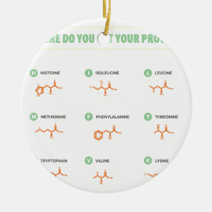 Amino Acids - Where do you get your protein? Ceramic Ornament