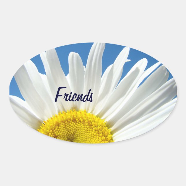 Amis autocollants White Daisy Flowers phoques (Devant)