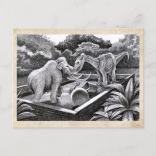 Amis PygmyPets - Carte postale