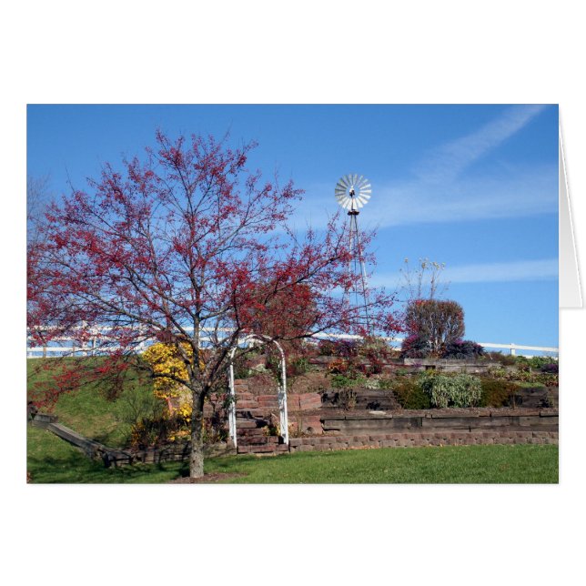 Amish Autumn Garden (Front Horizontal)