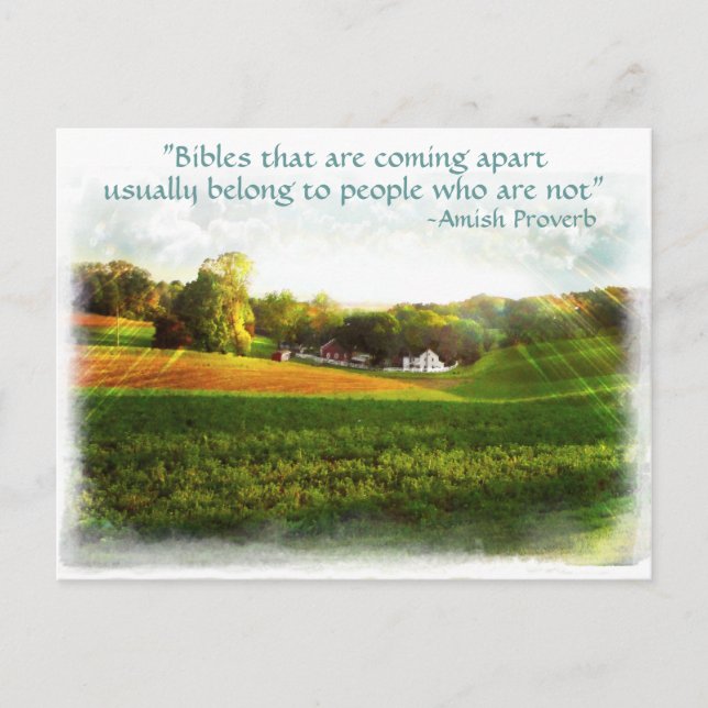 Amish Bible Postcard. Proverb.Add Store Name Postcard (Front)