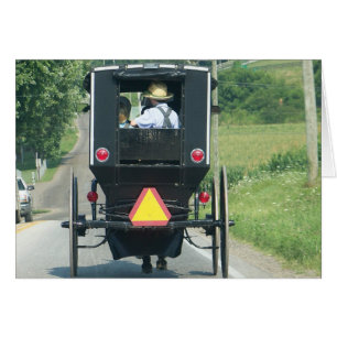 Amish Buggy