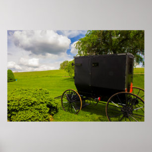 Amish Buggy at Hillside Farm Poster