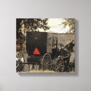 Amish Buggy Canvas Print