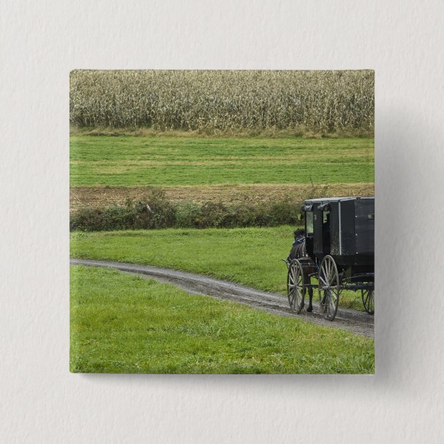 Amish buggy on farm lane, Northeastern Ohio, 2 Inch Square Button (Front)
