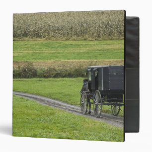 Amish buggy on farm lane, Northeastern Ohio, Binder