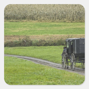 Amish buggy on farm lane, Northeastern Ohio, Square Sticker