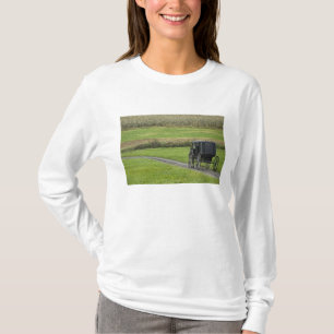 Amish buggy on farm lane, Northeastern Ohio, T-Shirt