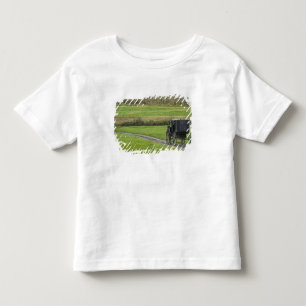 Amish buggy on farm lane, Northeastern Ohio, Toddler T-shirt