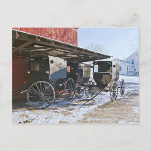 Amish Buggy Port Postcard