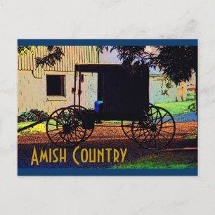 Amish Buggy Postcard
