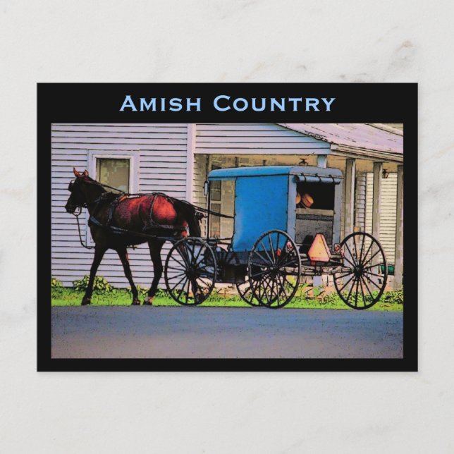 Amish Buggy Postcard (Front)