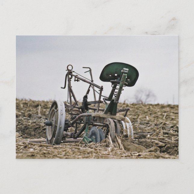 Amish Corn Cutter in Field-Postcard Postcard (Front)
