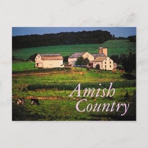 Amish Country Postcard