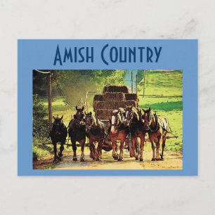 Amish Country Postcard - Customized