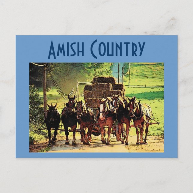 Amish Country Postcard - Customized (Front)