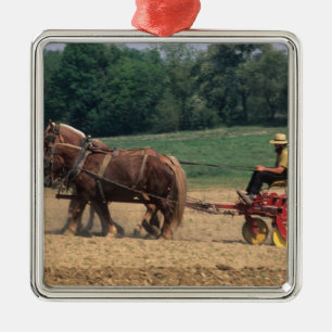 Amish Country simple people in farming with Metal Ornament