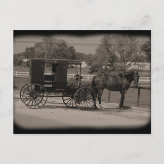 Amish Country Sugarcreek,Ohio Postcard