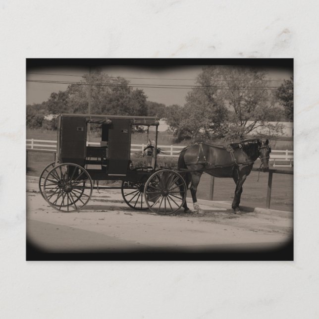 Amish Country Sugarcreek,Ohio Postcard (Front)