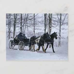 Amish Country Winter Carriage Ride-Postcard Postcard