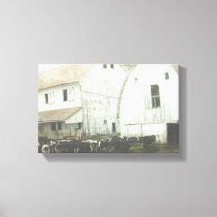 Amish Dairy Canvas Print
