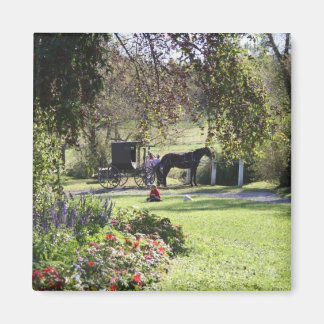 Amish Farm de Yoder' Magnet