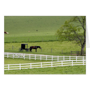 Amish farm with horse and buggy near Berlin,
