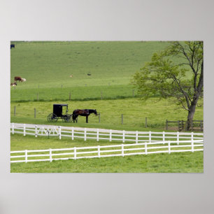 Amish farm with horse and buggy near Berlin, Poster