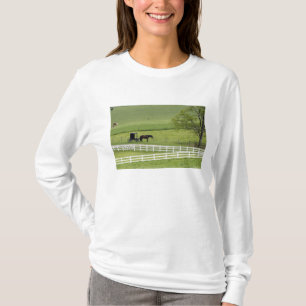 Amish farm with horse and buggy near Berlin, T-Shirt