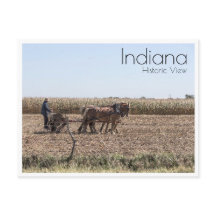 Amish Farmer Planting Corn