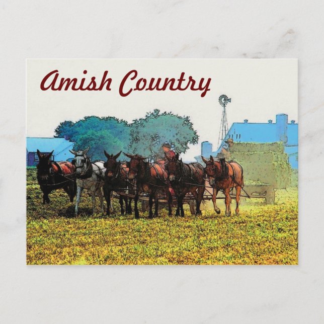 Amish Farming Postcard (Front)