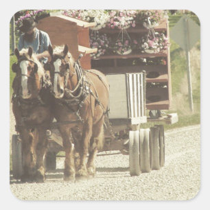 Amish Flower Delivery Square Sticker