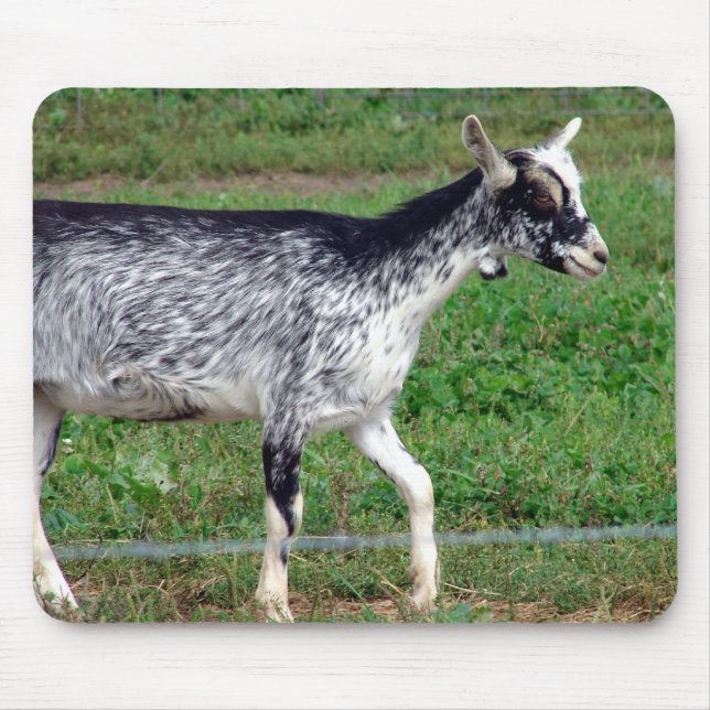 Amish Goat Mouse Pad (Front)