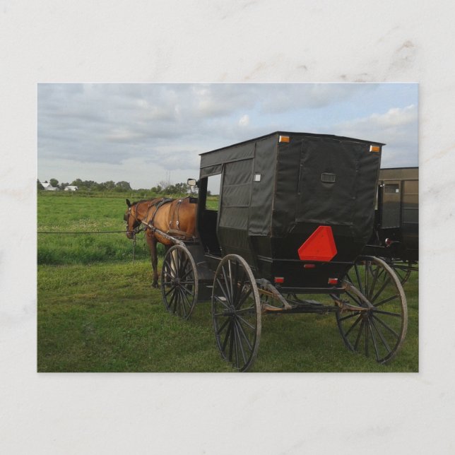 Amish Horse and Buggy at Sunset Postcard (Front)