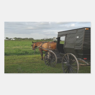Amish Horse and Buggy at Sunset Sticker