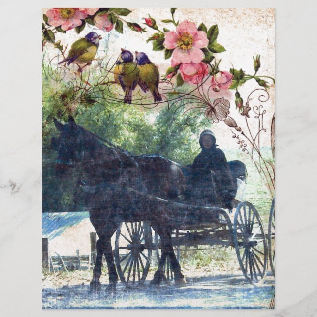 Amish Horse and Buggy Birdie Texture (Front)