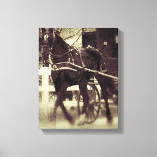 Amish Horse and Buggy Canvas Print