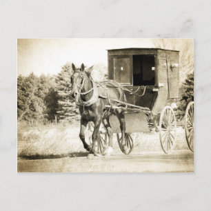 Amish Horse and Buggy Sepia Kalona Iowa Postcard