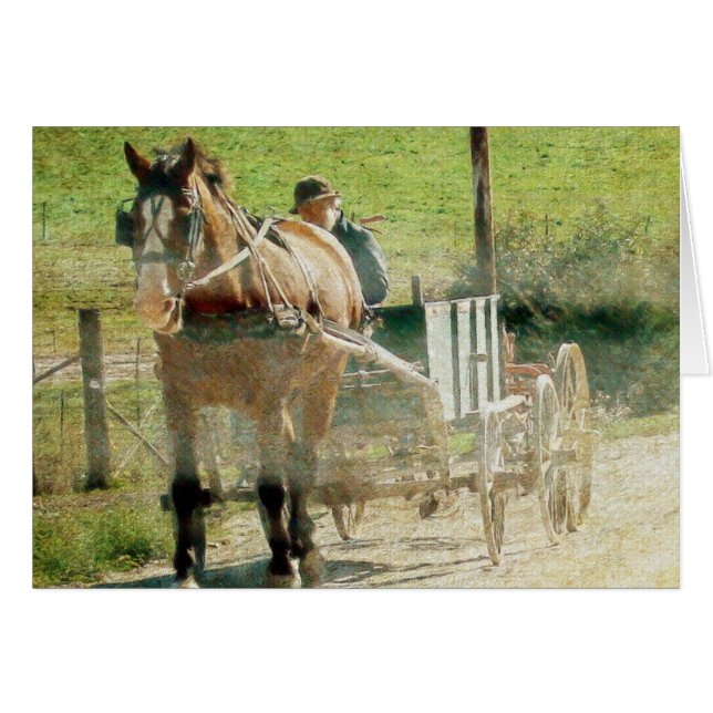 Amish Horse and Cart (Front Horizontal)