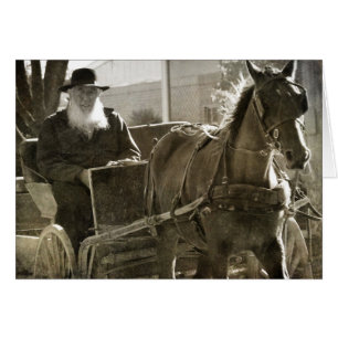 Amish Horse Being Silly With Tongue Stuck Out