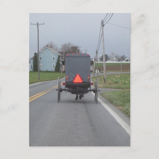 Amish Horse & Buggy Postcard (Front)