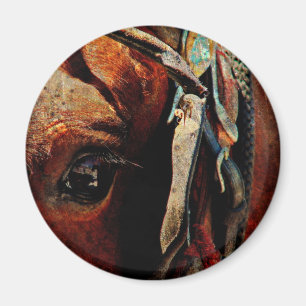 Amish Horse Eye Magnet