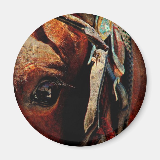 Amish Horse Eye Magnet (Front)